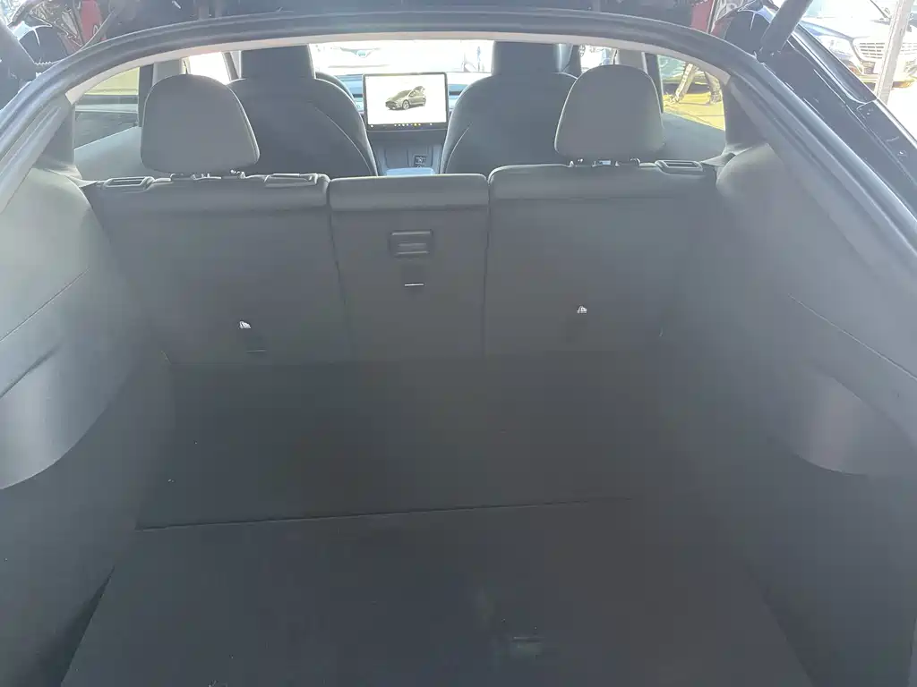 Tesla Model Y — миниатюра 9
