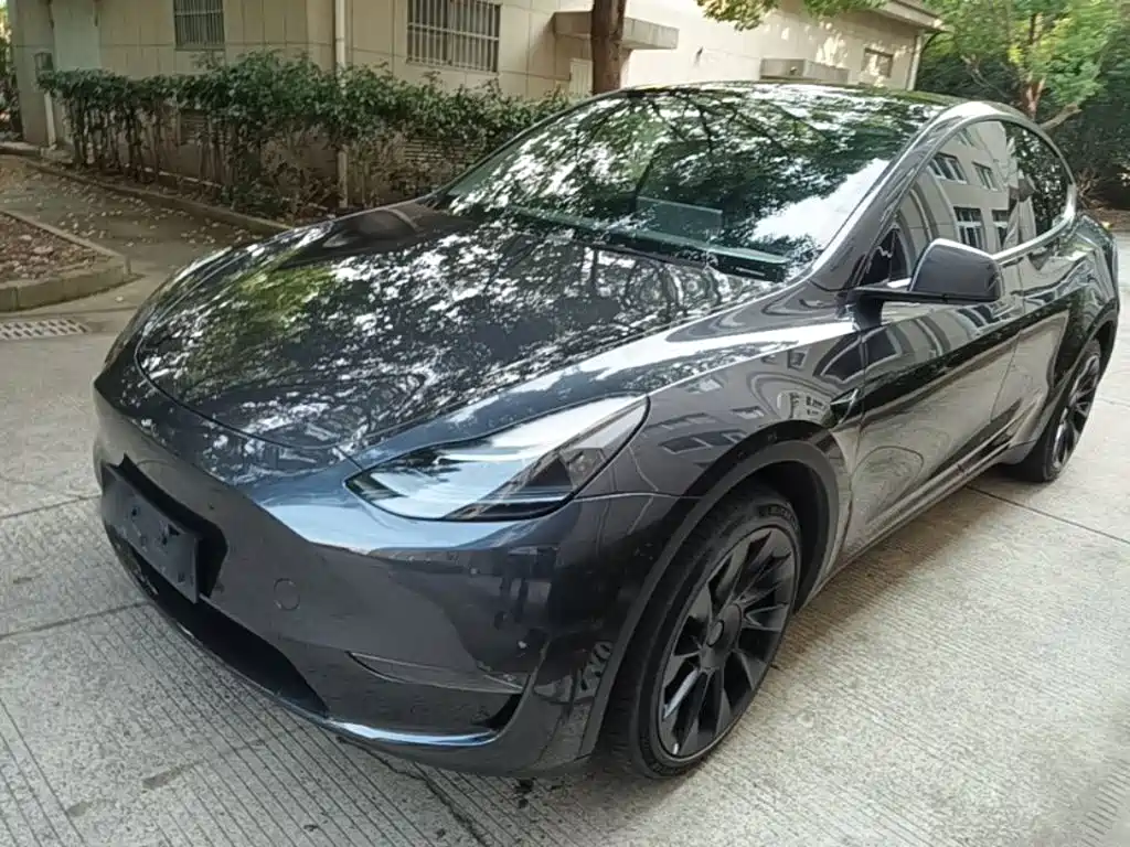 Tesla Model Y — миниатюра 2