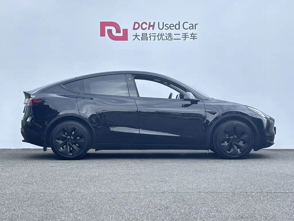 Tesla Model Y — миниатюра 3
