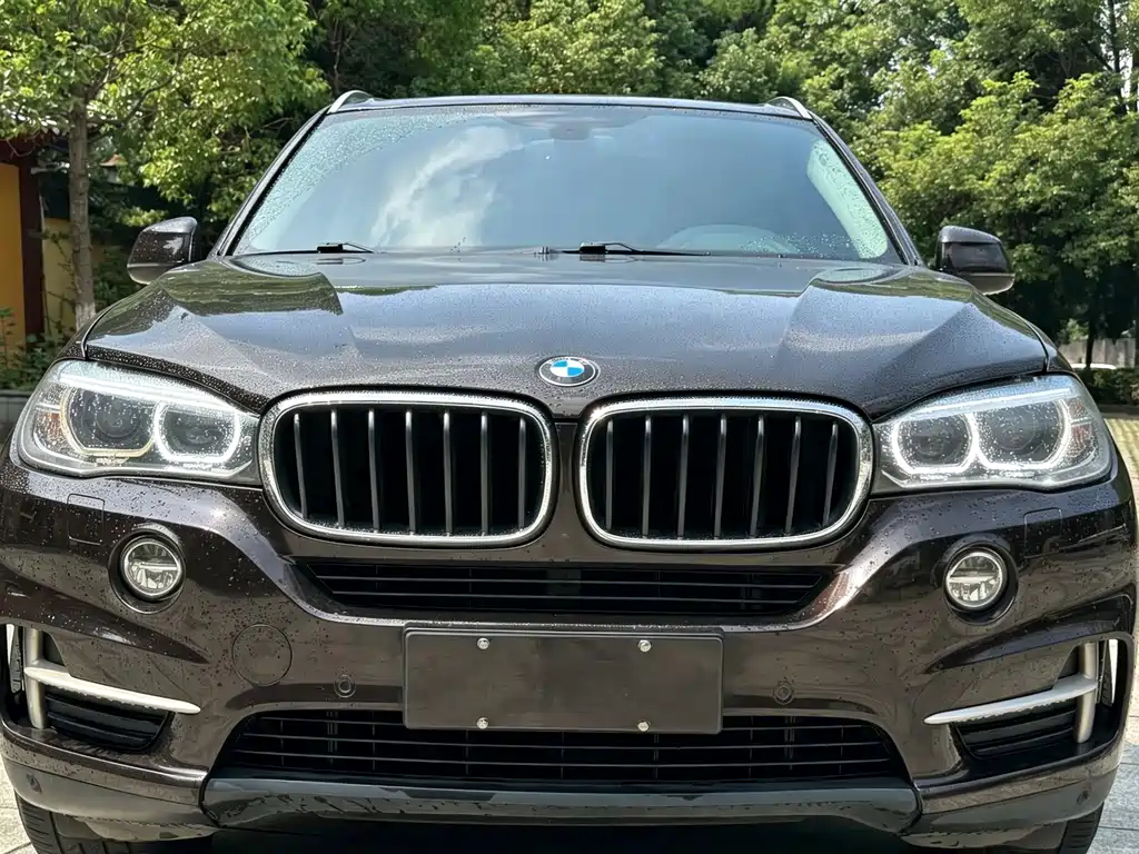 BMW X5 (Import) — миниатюра 2