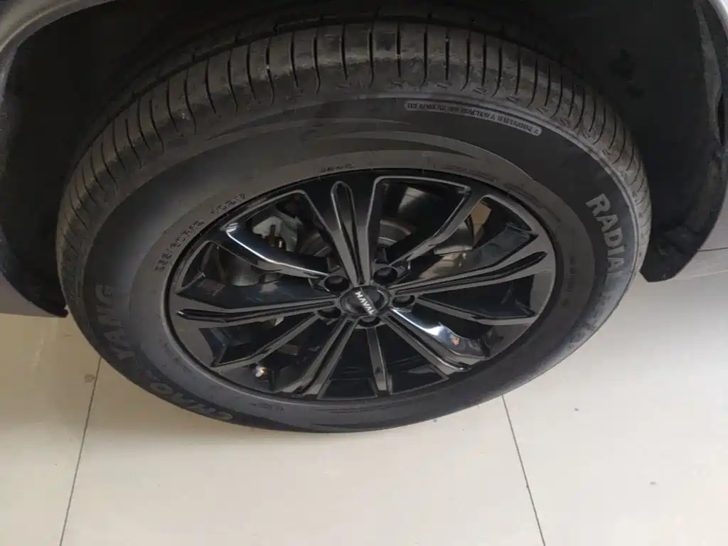 Haval Menglong New Energy — миниатюра 23