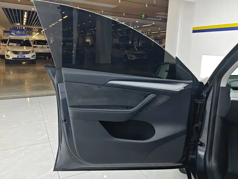 Tesla Model Y — миниатюра 7