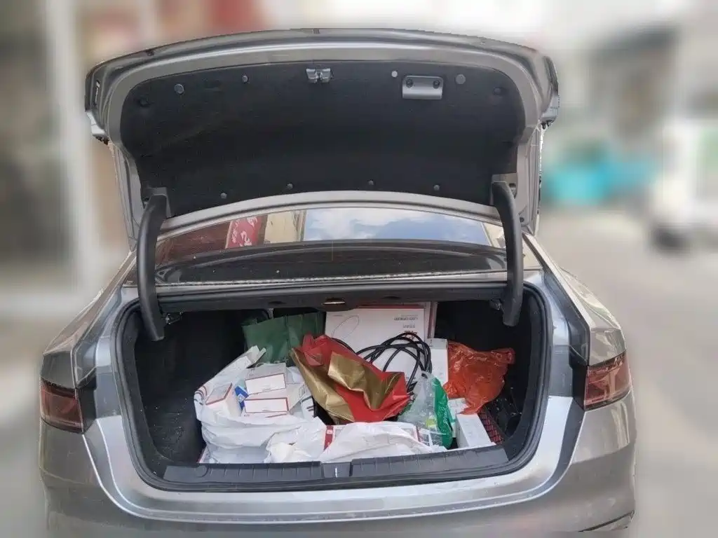 BYD Qin PLUS — миниатюра 20