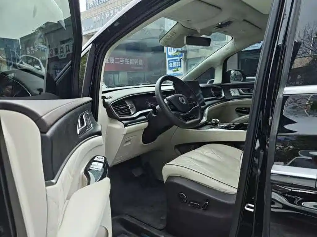 Denza Denza D9 — миниатюра 6