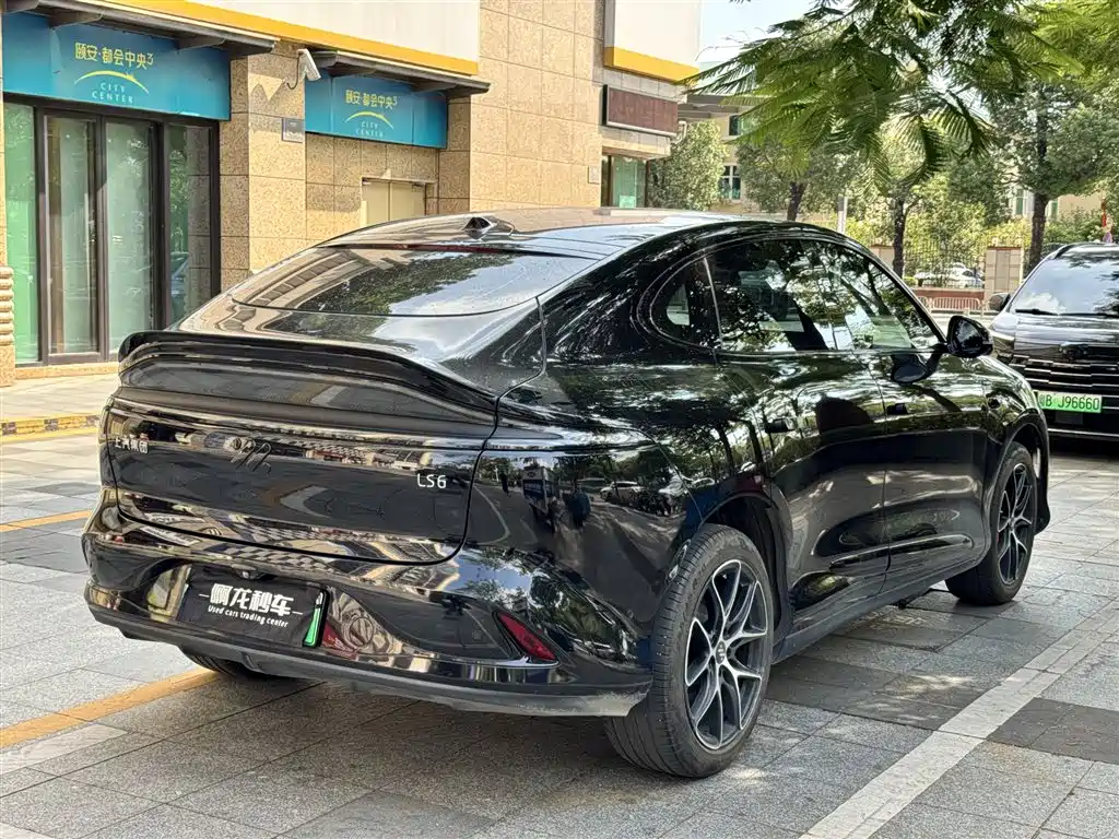 IM IM LS6 — миниатюра 9