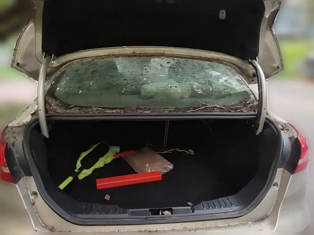 Ford Focus — миниатюра 10
