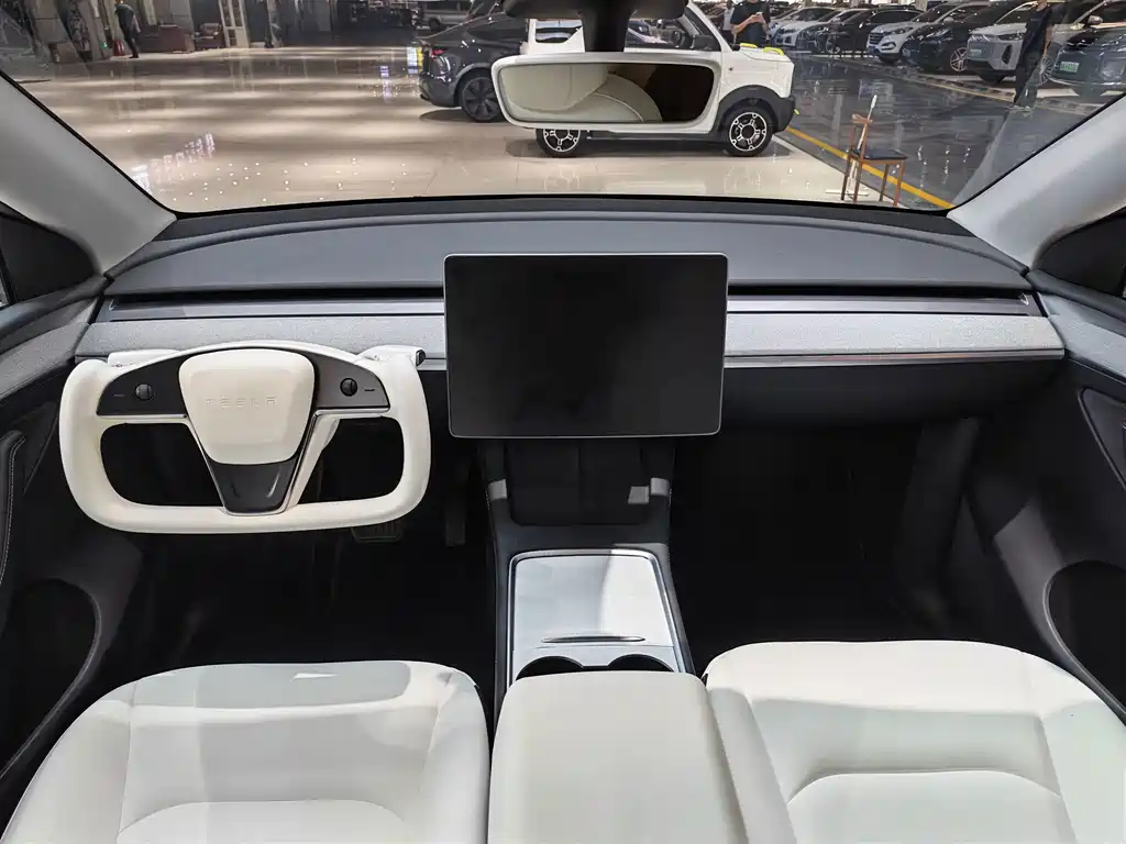 Tesla Model Y — миниатюра 9