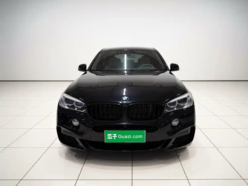 BMW X6 — миниатюра 2