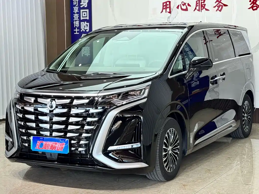 Denza Denza D9