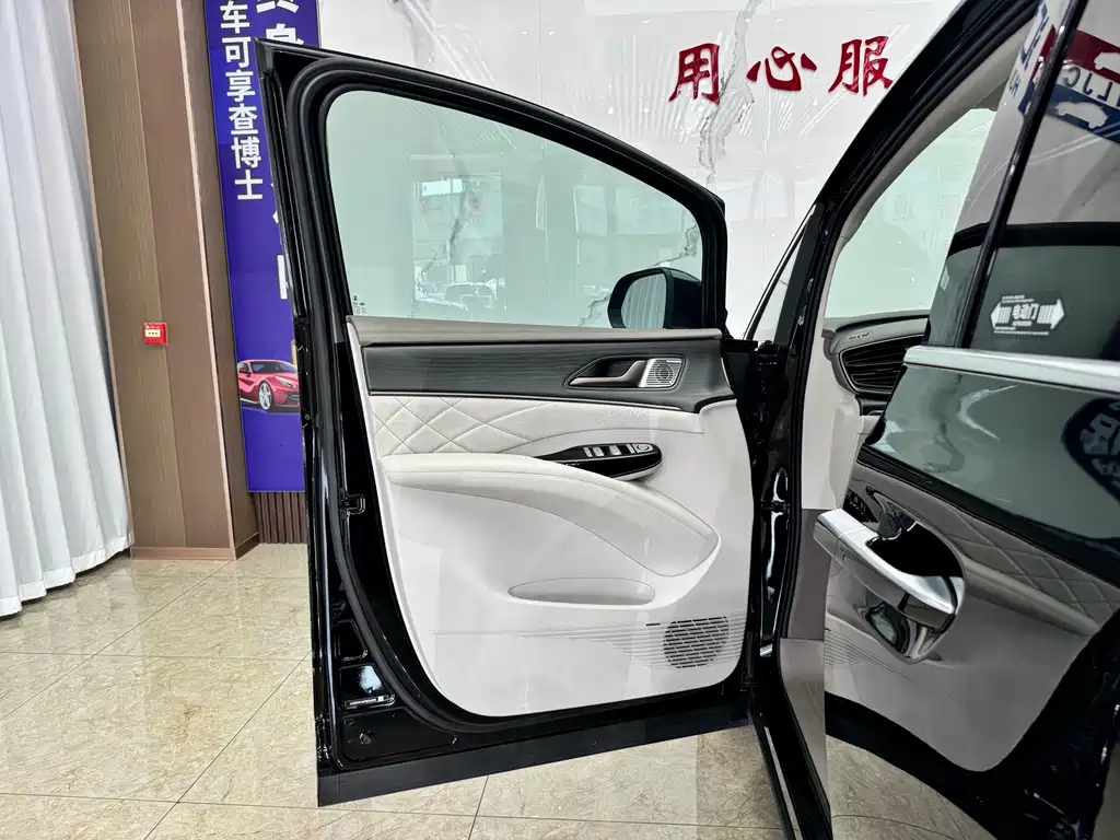 Denza Denza D9 — миниатюра 19