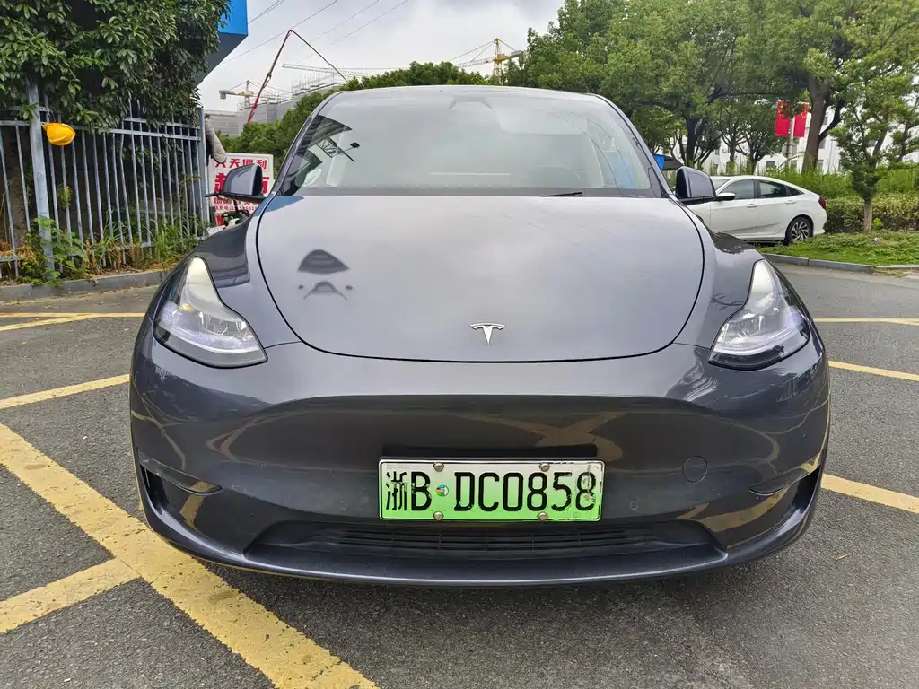 Tesla Model Y — миниатюра 2