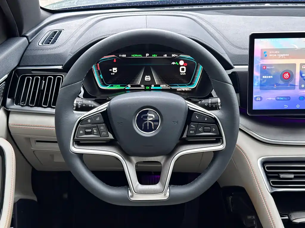 BYD PLUS New Energy — миниатюра 18