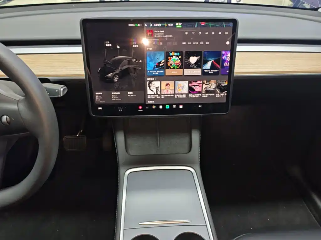 Tesla Model Y — миниатюра 13