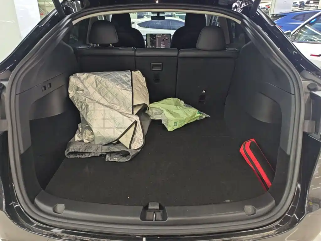 Tesla Model Y — миниатюра 19