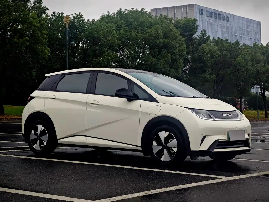 BYD Dolphin — миниатюра 3