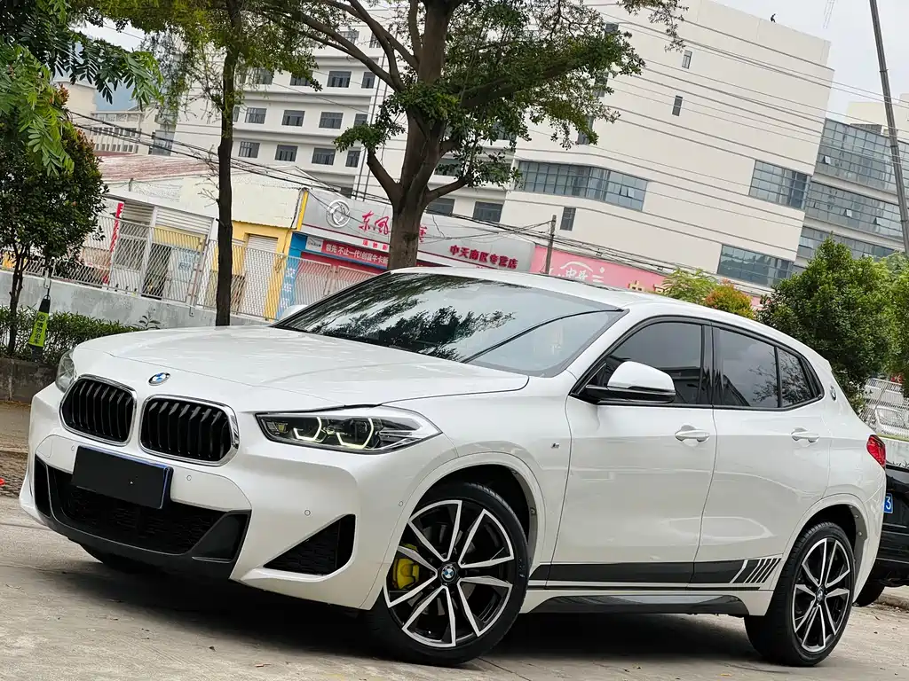 BMW X2 — миниатюра 2