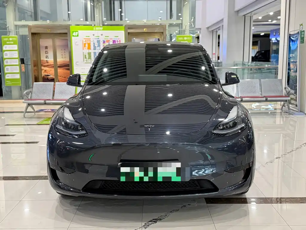 Tesla Model Y — миниатюра 2