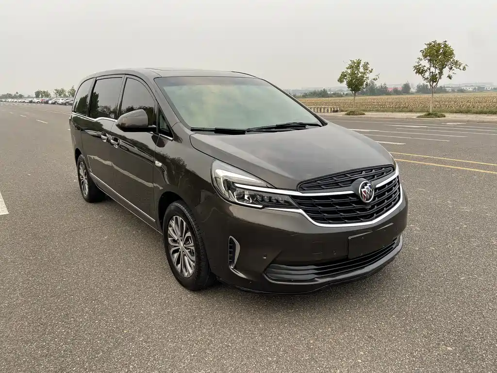 Buick GL8 — миниатюра 3