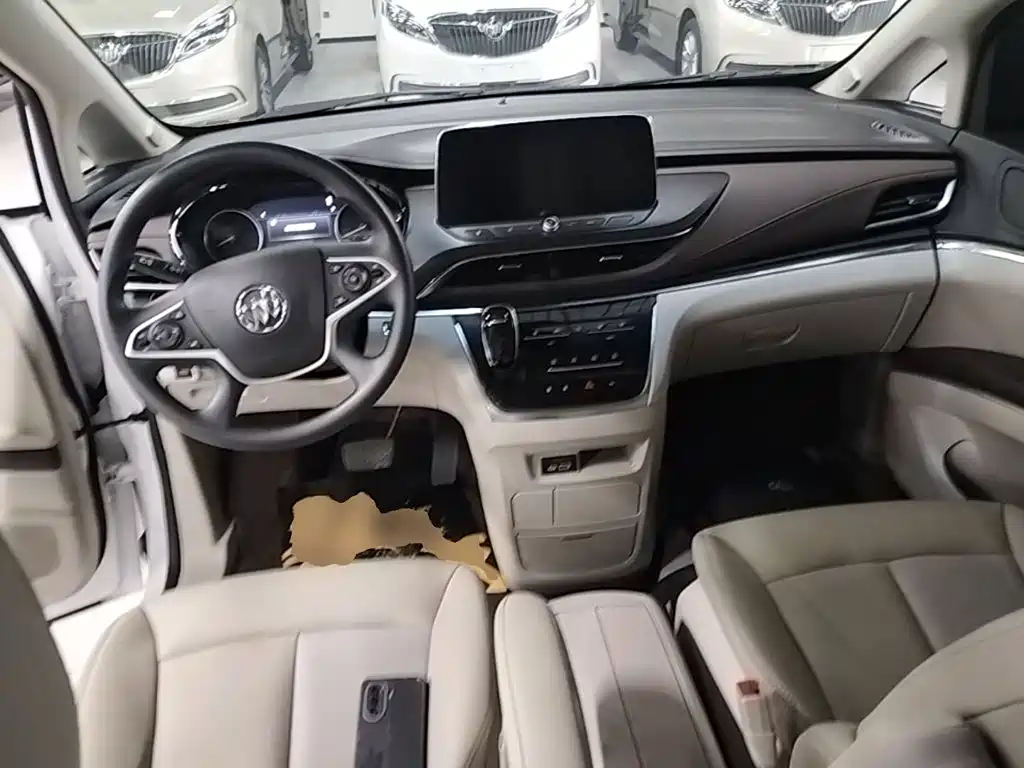 Buick GL8 — миниатюра 10
