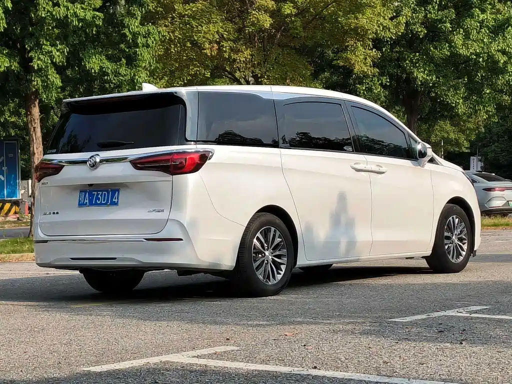 Buick GL8 — миниатюра 10