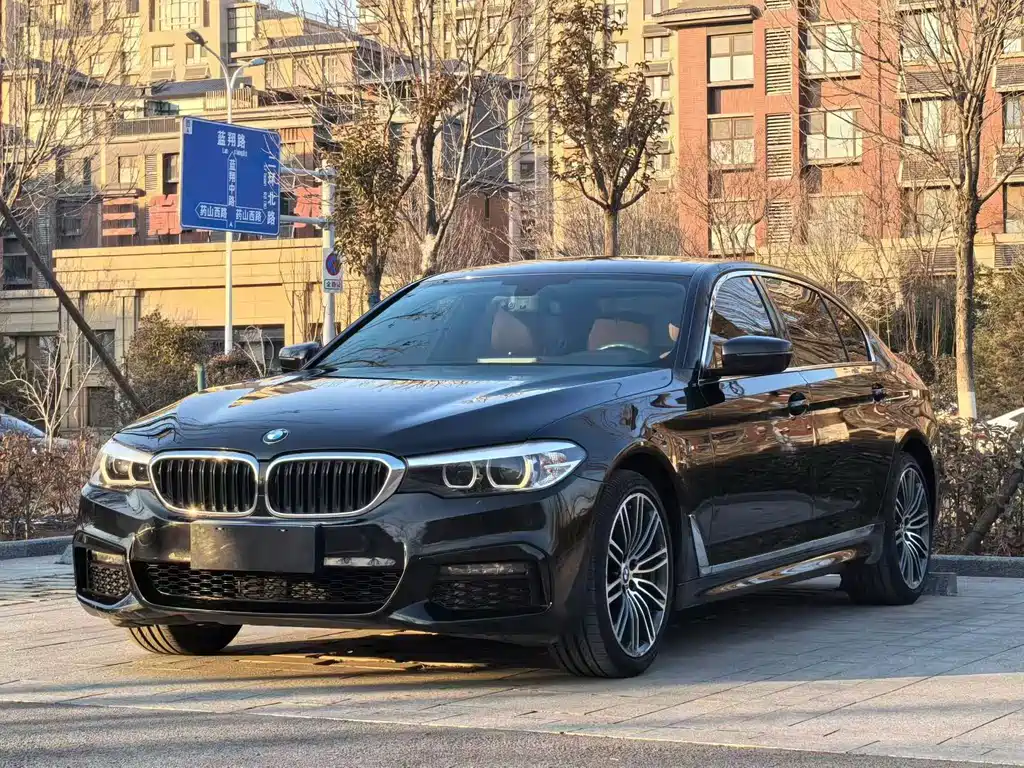 BMW 5 Series — миниатюра 3