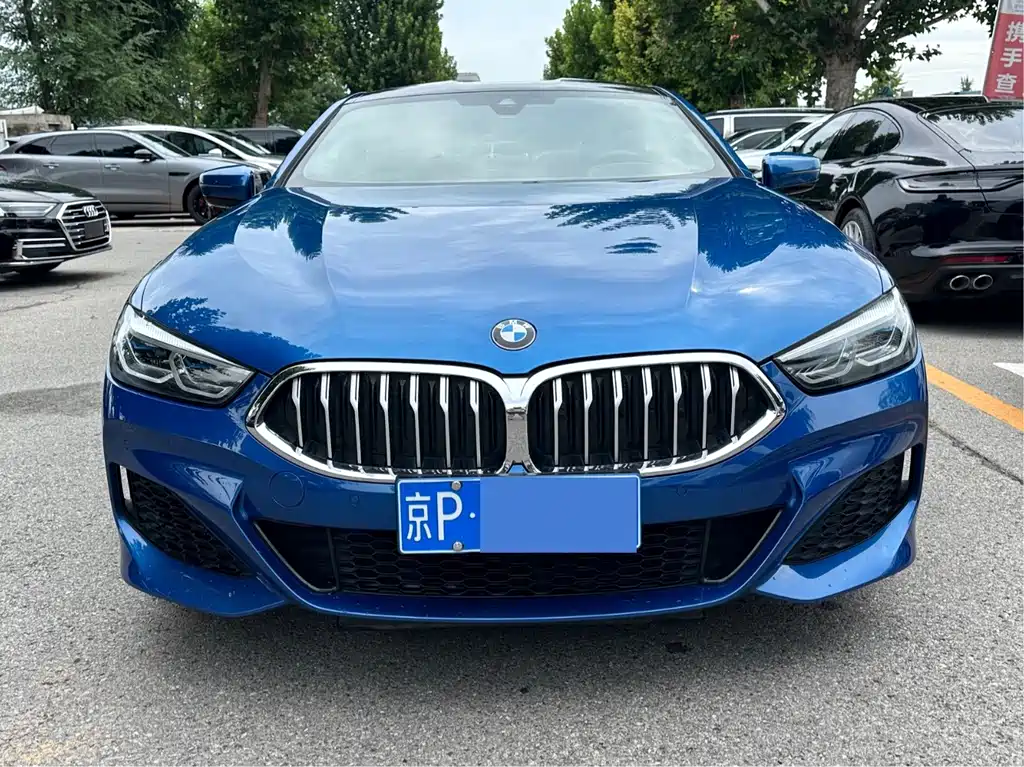 BMW 8 Series — миниатюра 2