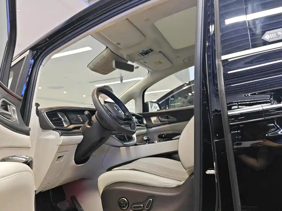 Denza Denza D9 — миниатюра 9