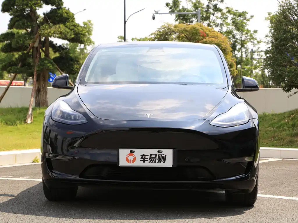 Tesla Model Y — миниатюра 2
