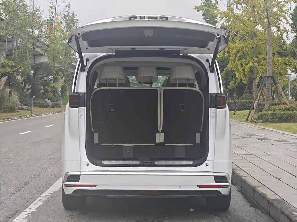 Denza Denza D9 — миниатюра 19