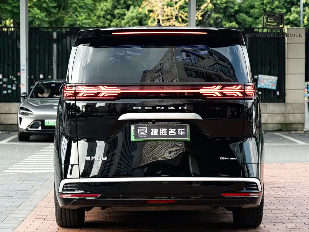 Denza Denza D9 — миниатюра 4