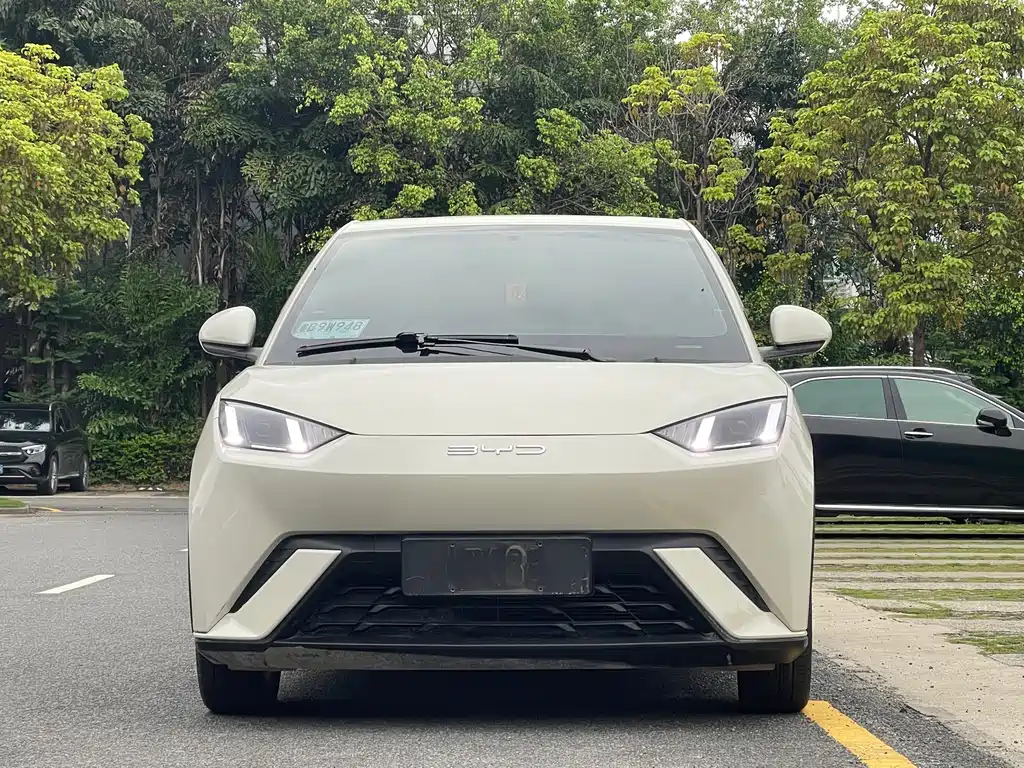 BYD Seagull 2023 Freedom
