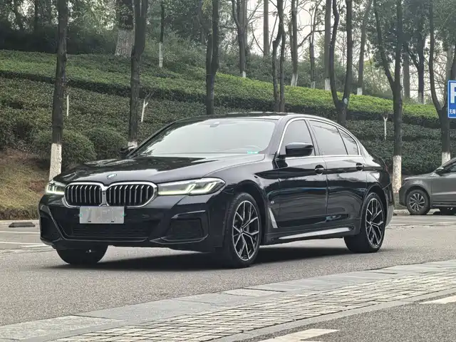 BMW 5 SERIES