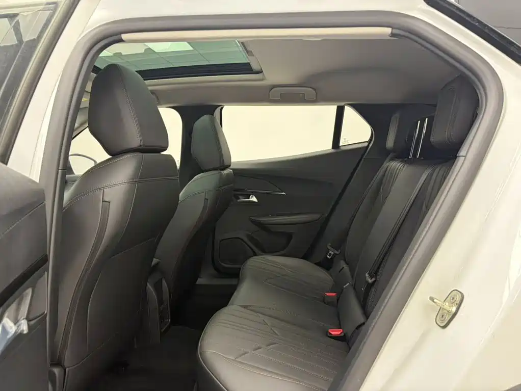 Peugeot 2008 230THP THE ONE, фото 19