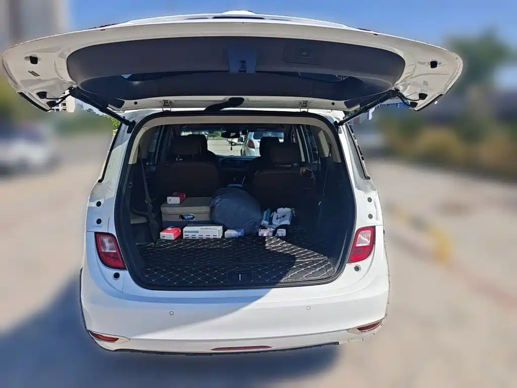 Buick GL6 — миниатюра 10