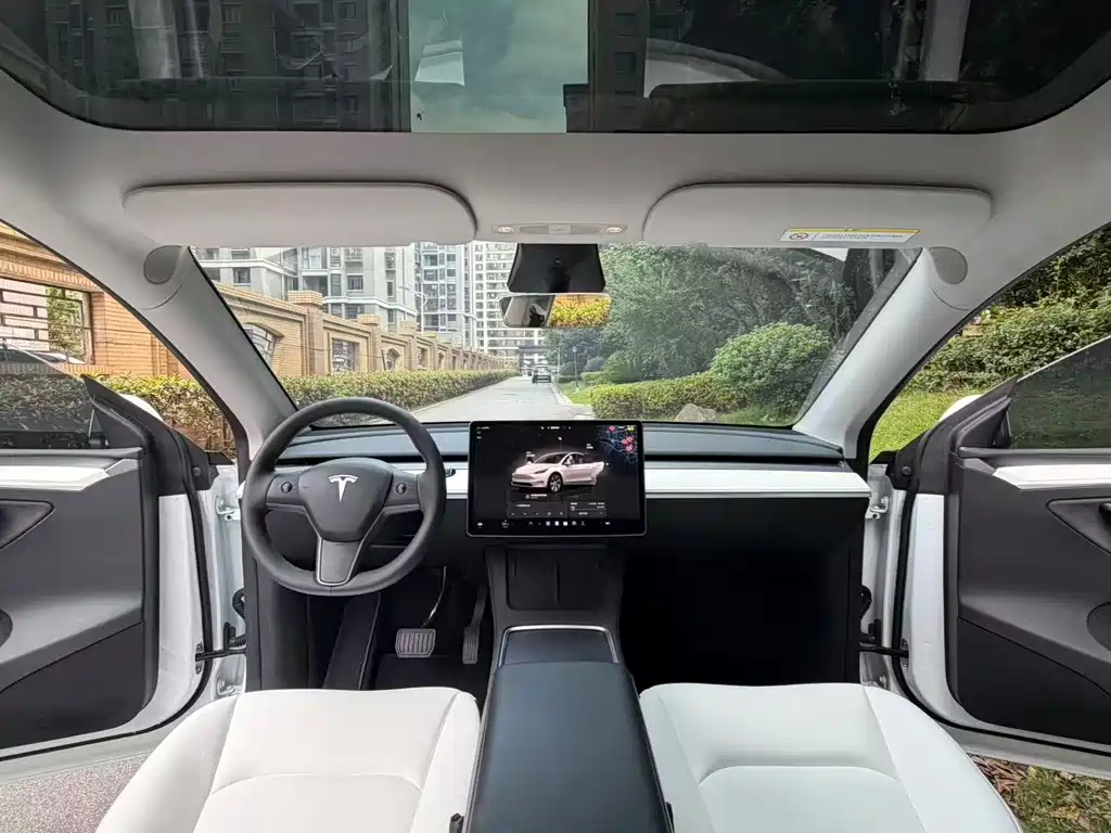 Tesla Model Y — миниатюра 8