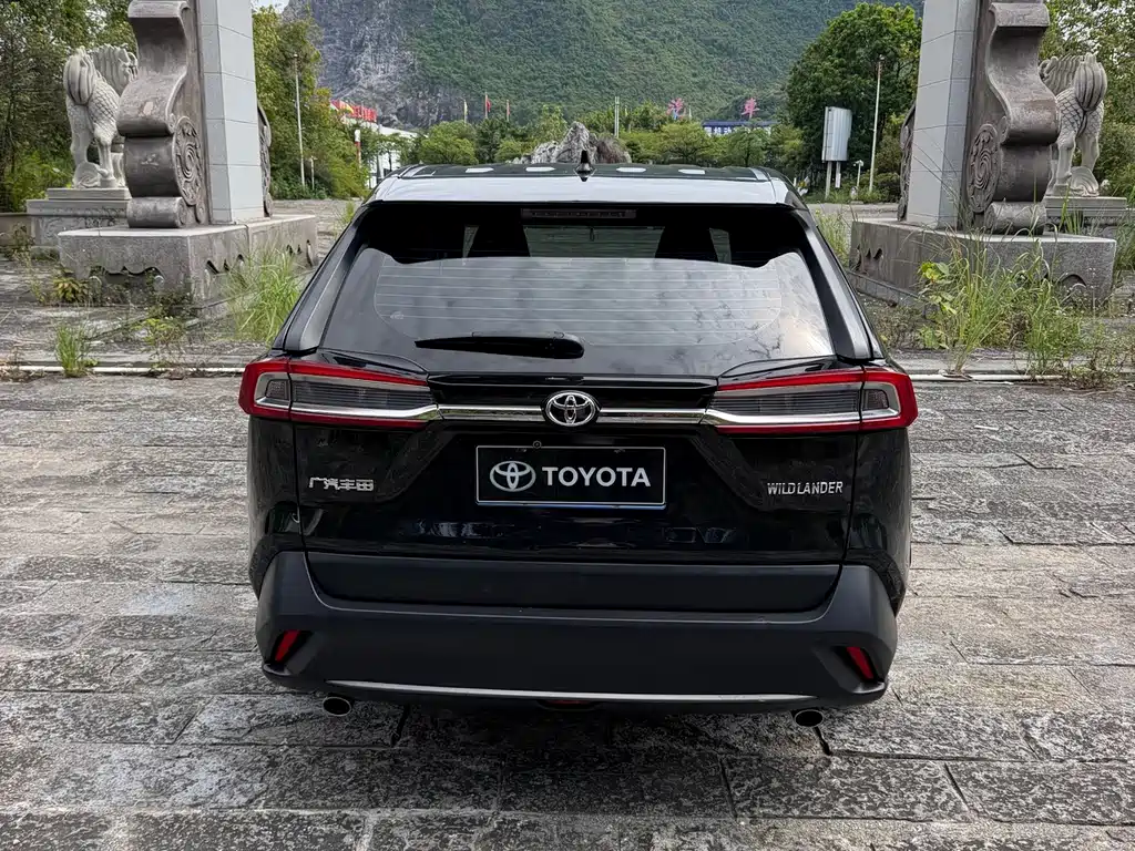 Toyota Wildlander — миниатюра 4