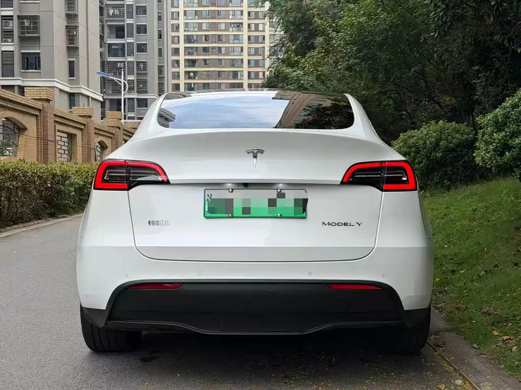 Tesla Model Y — миниатюра 5