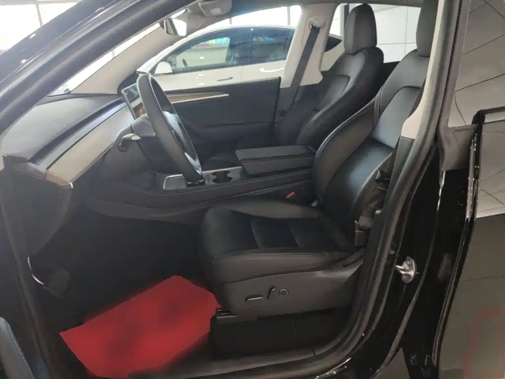 Tesla Model Y — миниатюра 15