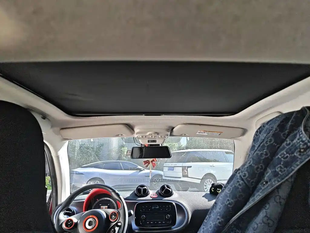 smart Smart Fortwo — миниатюра 21