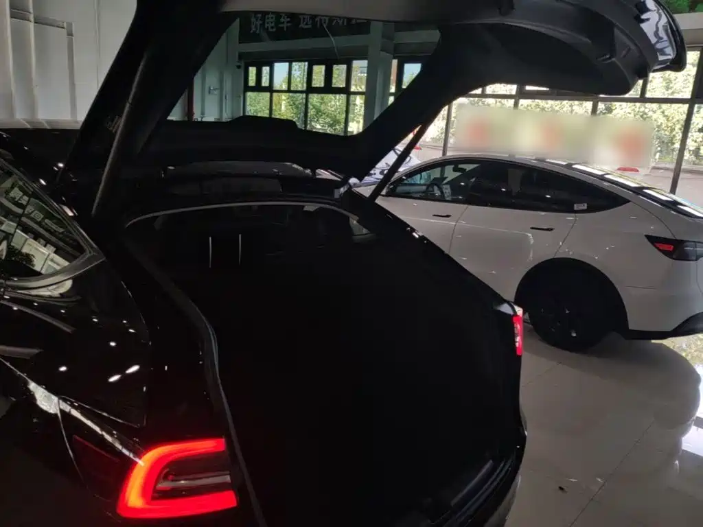 Tesla Model Y — миниатюра 19