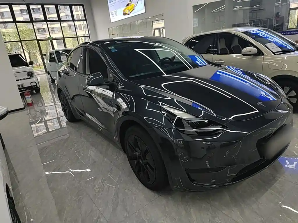 Tesla Model Y — миниатюра 4