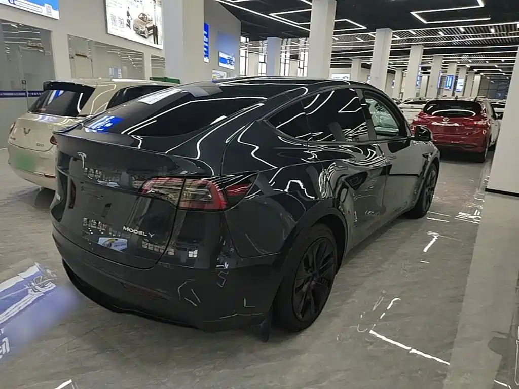 Tesla Model Y — миниатюра 7