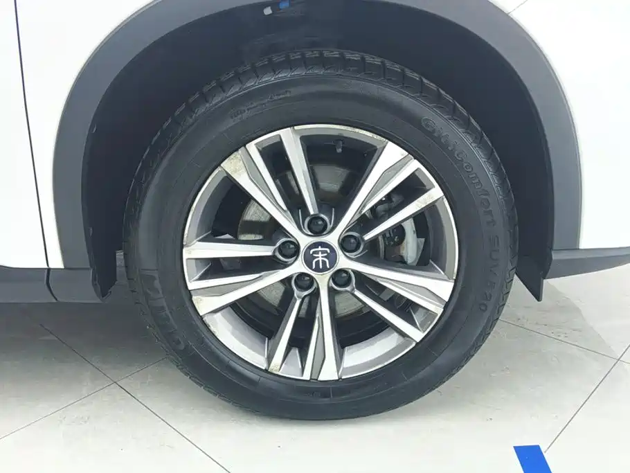 BYD Pro — миниатюра 6