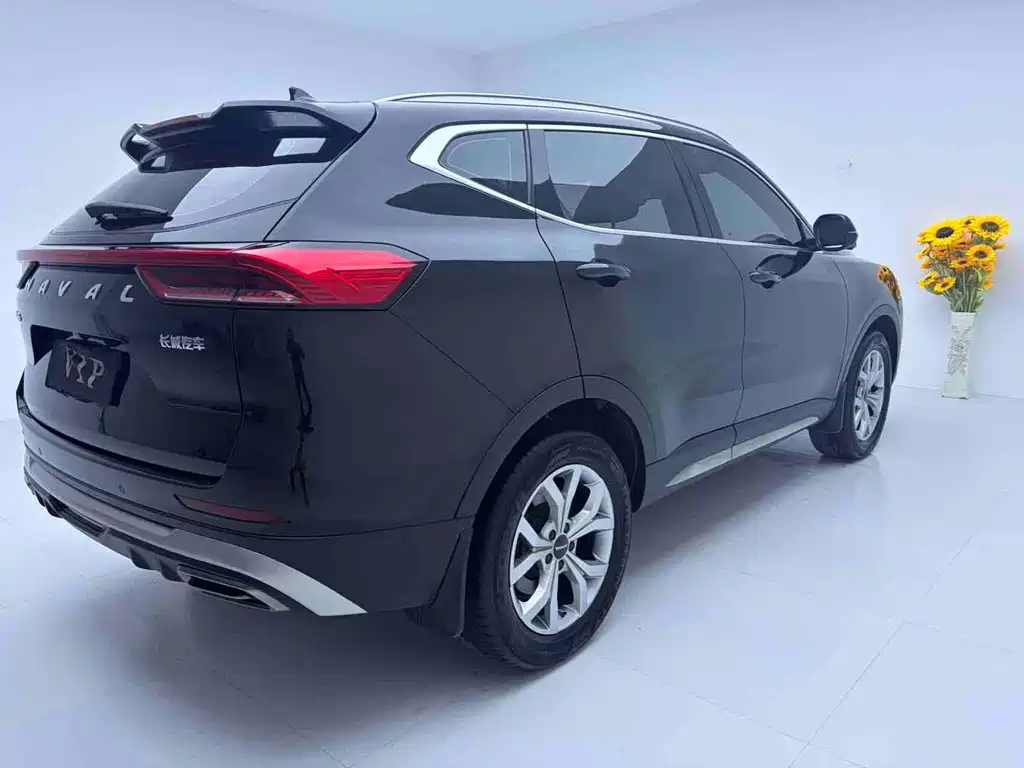 Haval H6 — миниатюра 4