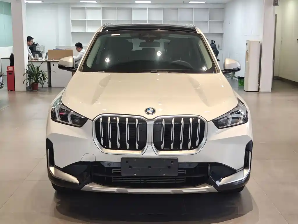 BMW X1 — миниатюра 2