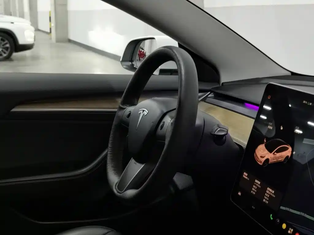 Tesla Model 3 — миниатюра 22