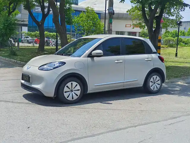 2024 Wuling Motors Binguo