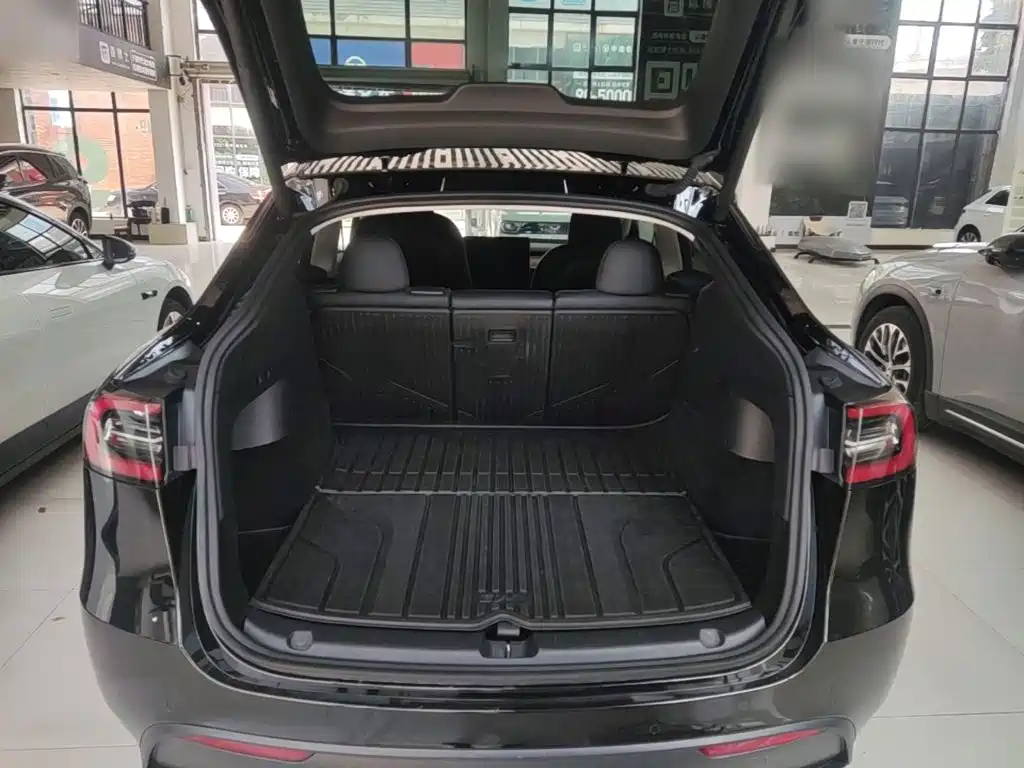 Tesla Model Y — миниатюра 19