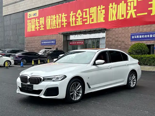BMW 5 SERIES