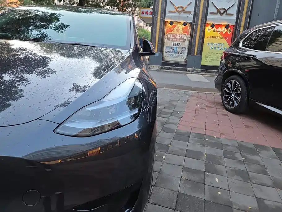 Tesla Model Y — миниатюра 5